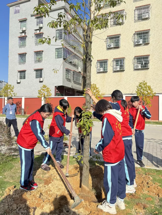 1773742227811273.png df26979d-ae2c-4d52-b6a8-d545304b08a4.png