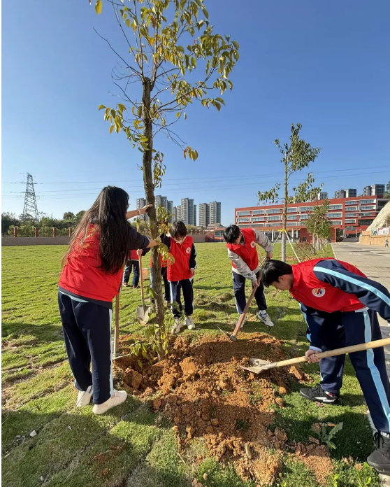 1773742269884370.png b1eafd53-ba58-4f2b-9c6f-85c1cd10c42d.png