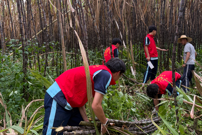 1775121324852691.png image.png