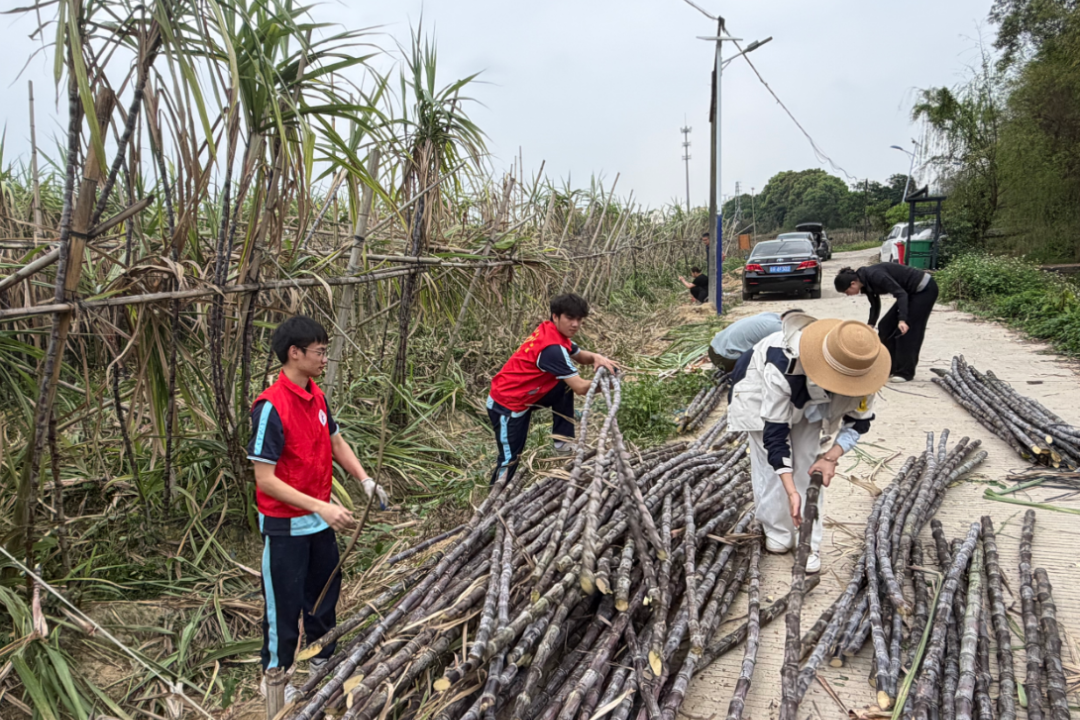 1775121333662647.png image.png